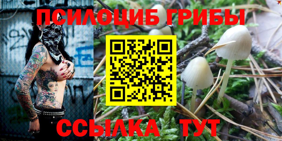 Мурино  Псилоцибиновые грибы Psilocybine cubensis  Вход с VPN 