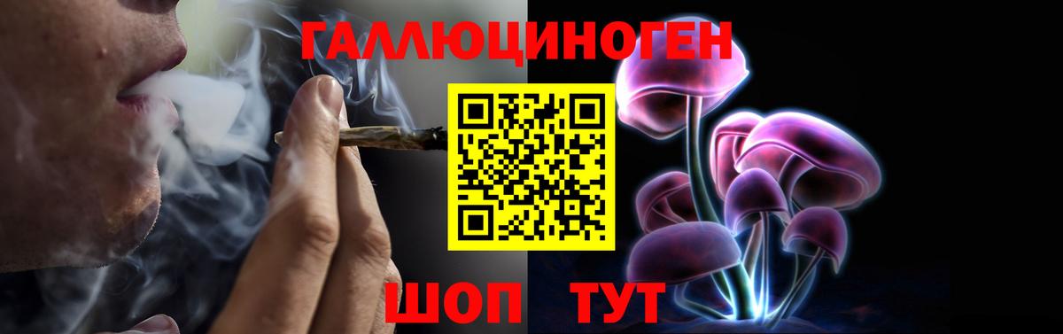 Псилоцибиновые грибы мицелий Мурино